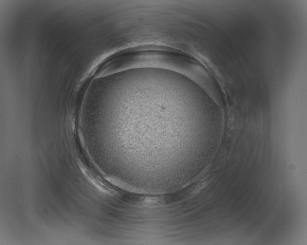 X0000081290060200701111409
