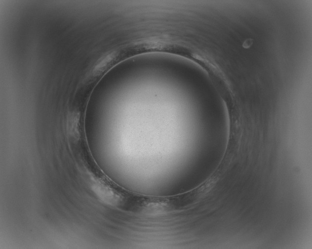 X0000081290066200701111409