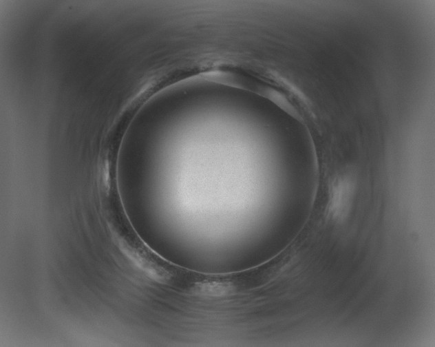 X0000081290067200701111409