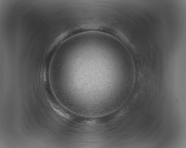 X0000081290068200701111409