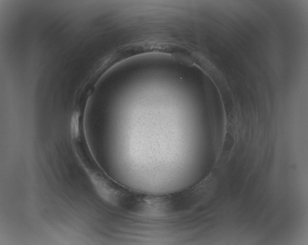 X0000081290070200701111409