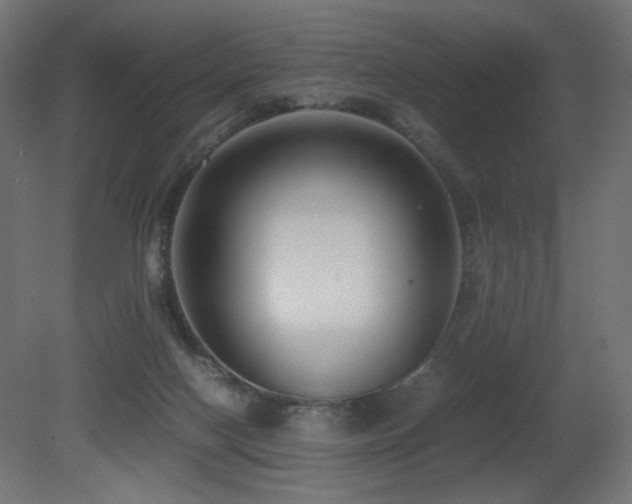 X0000081290074200701111409