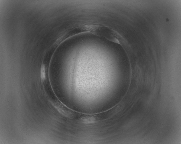X0000081290075200701111409