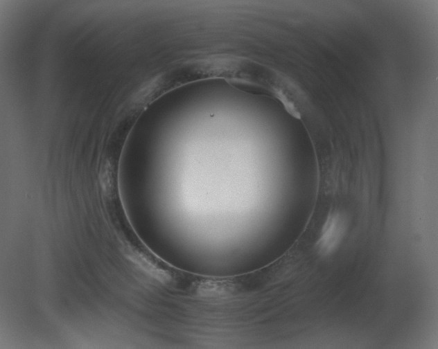 X0000081290077200701111409