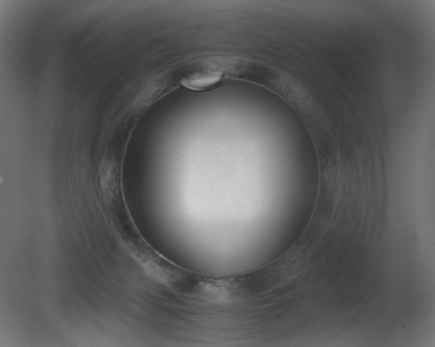 X0000081290079200701111409