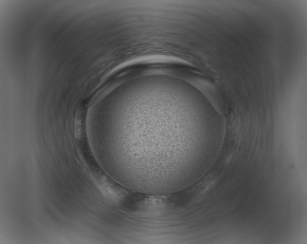 X0000081290080200701111409
