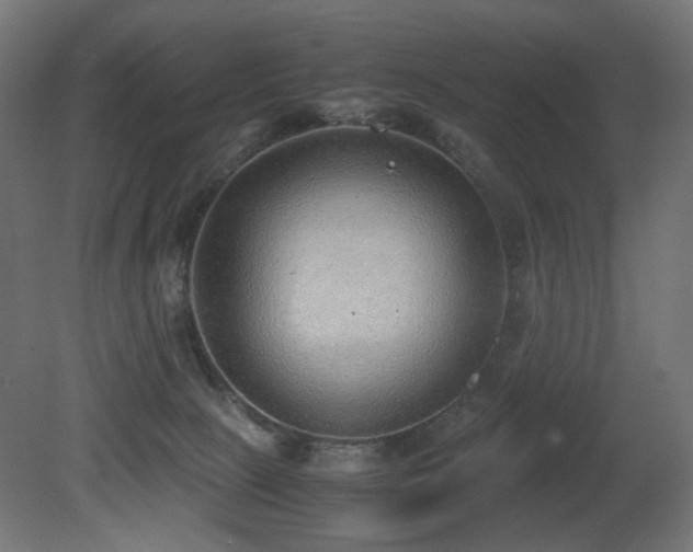 X0000081290081200701111409