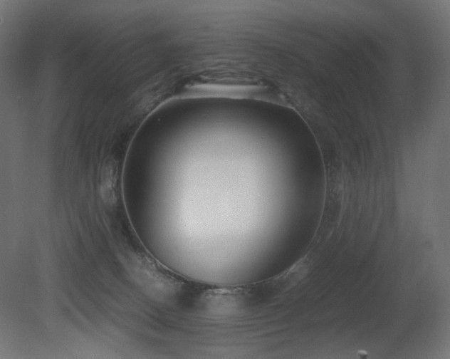 X0000081290082200701111410