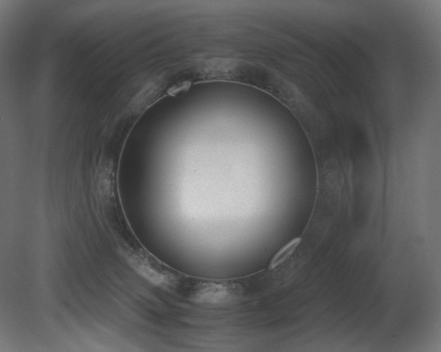 X0000081290083200701111410