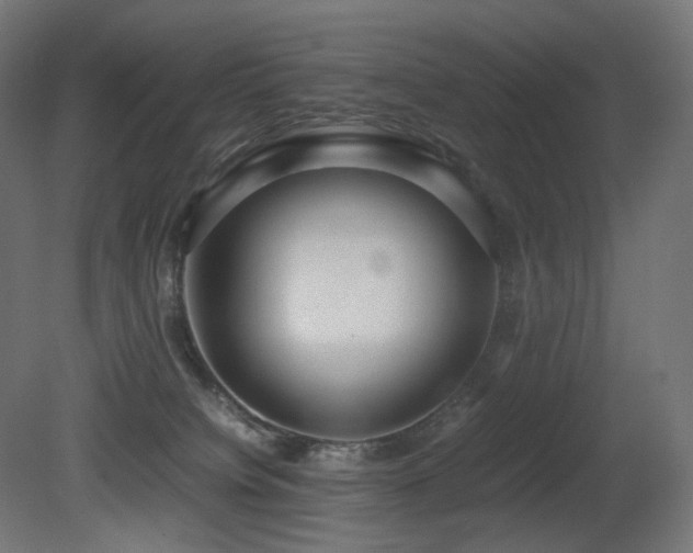 X0000081290084200701111410