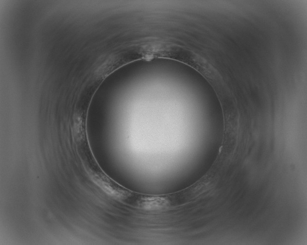 X0000081290087200701111410