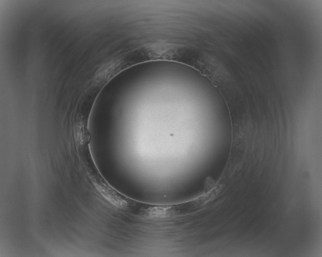 X0000081290090200701111410