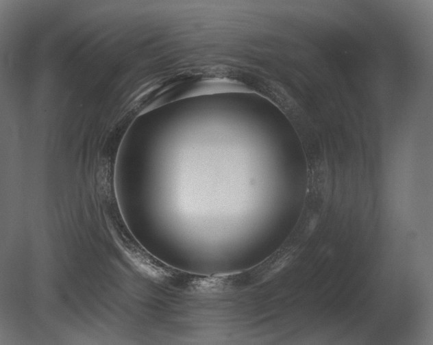 X0000081290092200701111410