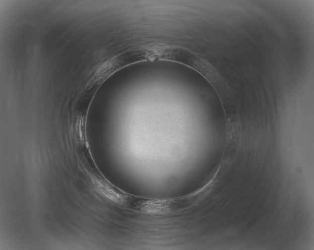 X0000081290094200701111410