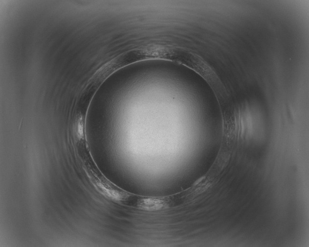 X0000081290095200701111410