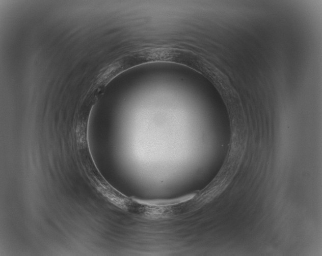 X0000081290096200701111410