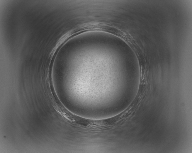 X0000081290099200701111409
