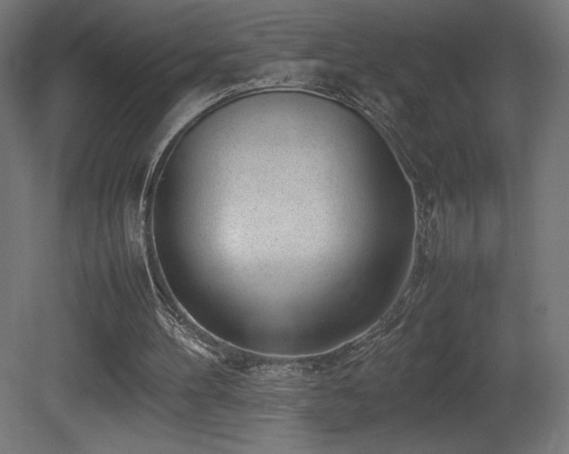 X0000081290100200701111409