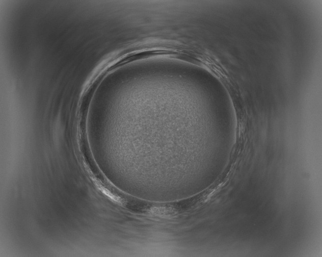 X0000081290101200701111409