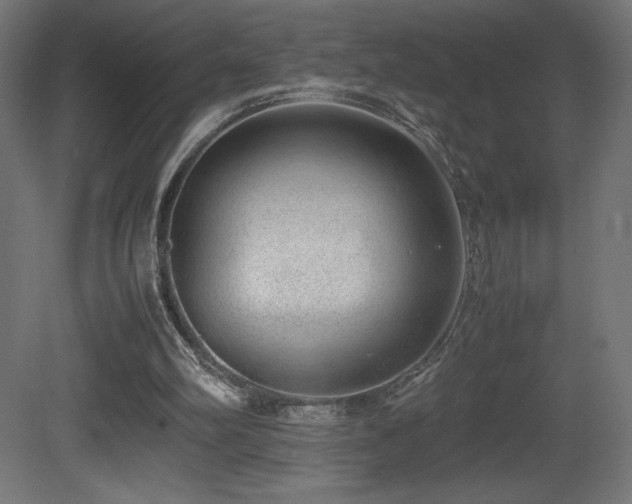 X0000081290102200701111409