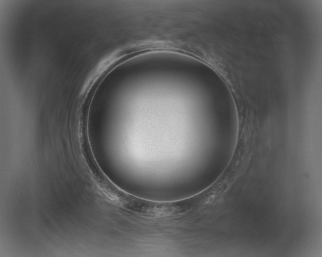 X0000081290103200701111409