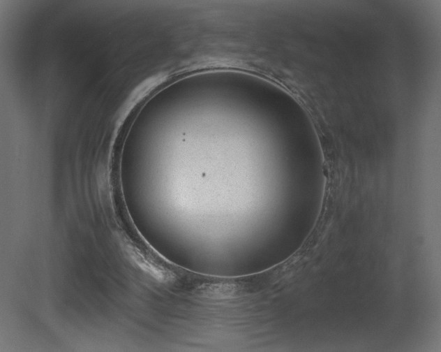 X0000081290104200701111409