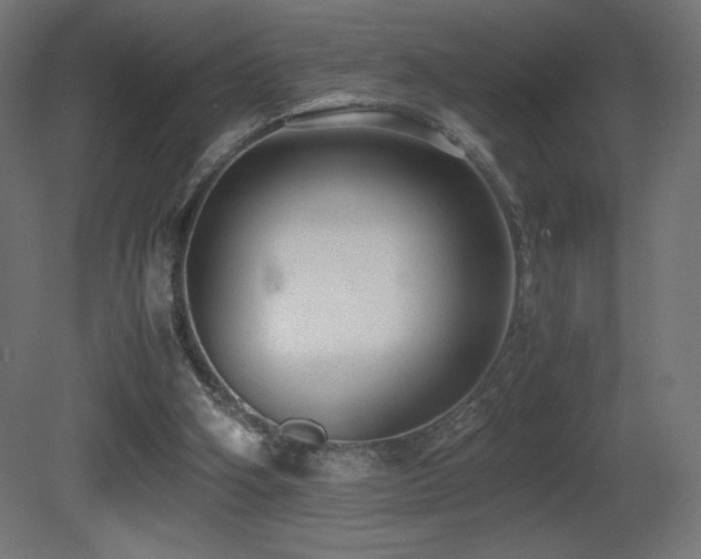 X0000081290106200701111409