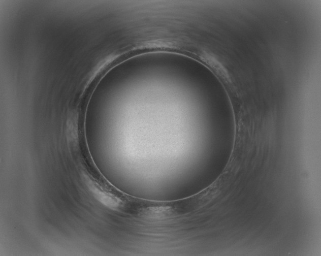 X0000081290108200701111409