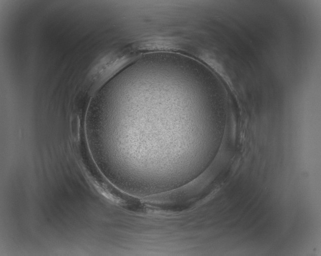 X0000081290109200701111409