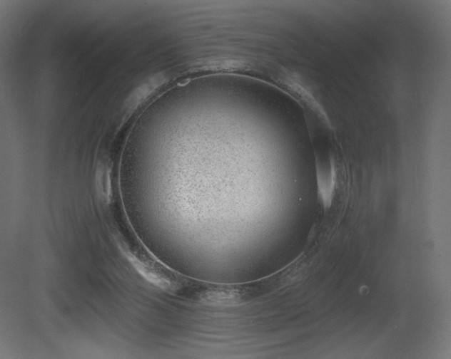 X0000081290110200701111409