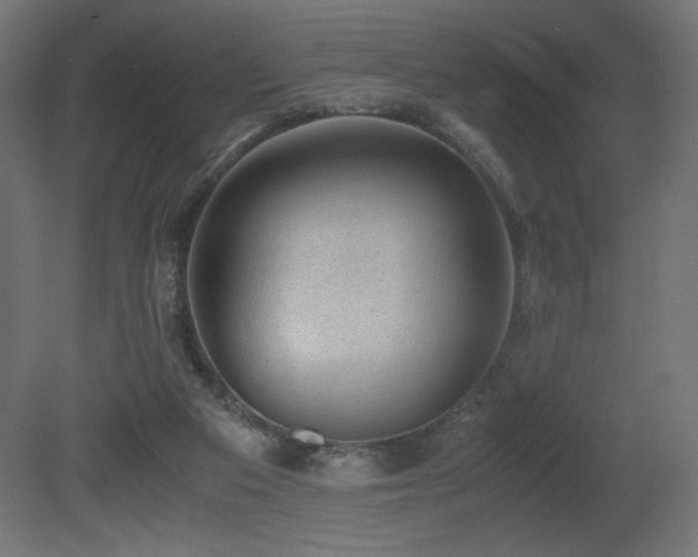 X0000081290113200701111409
