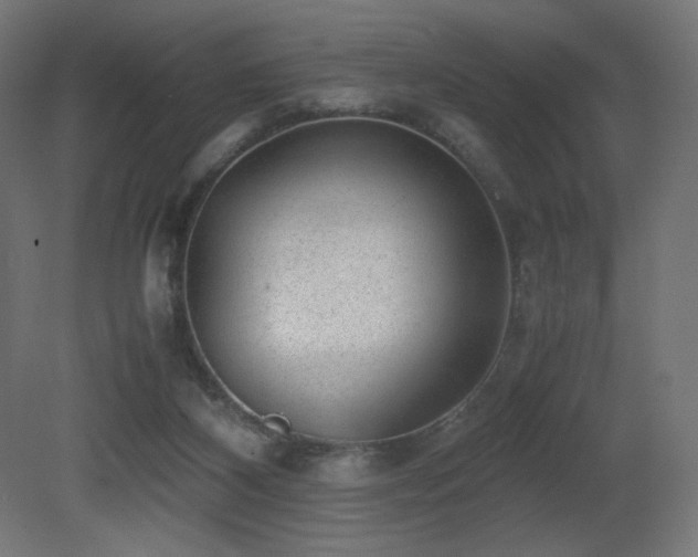 X0000081290116200701111409