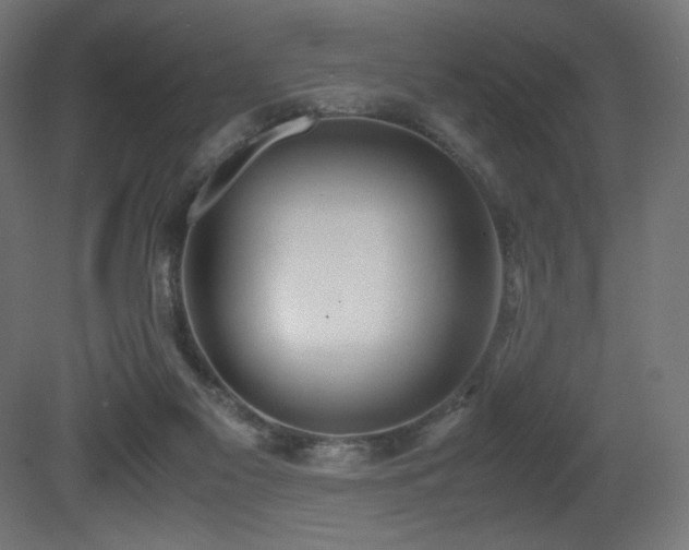 X0000081290117200701111409