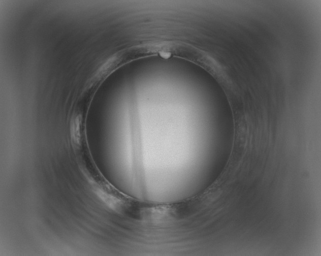 X0000081290118200701111409