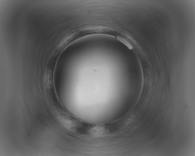 X0000081290119200701111409