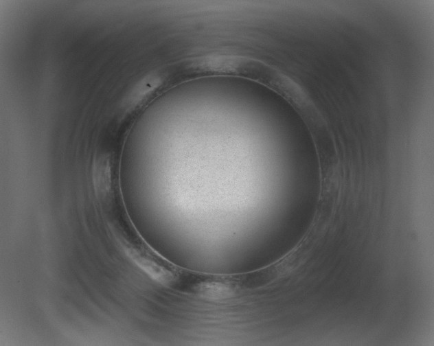 X0000081290120200701111409