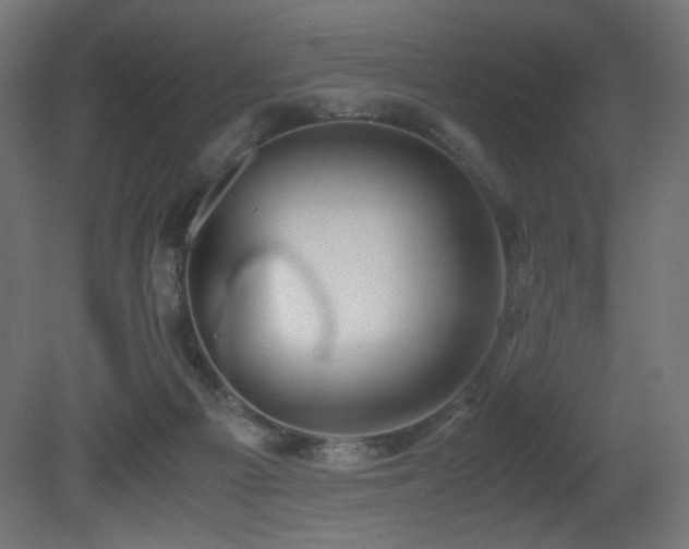 X0000081290121200701111409