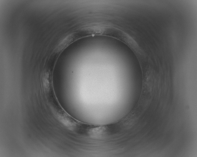 X0000081290122200701111409