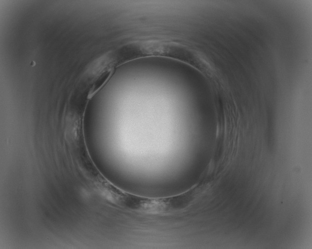 X0000081290125200701111408