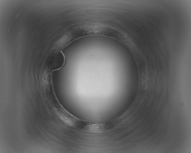 X0000081290126200701111408