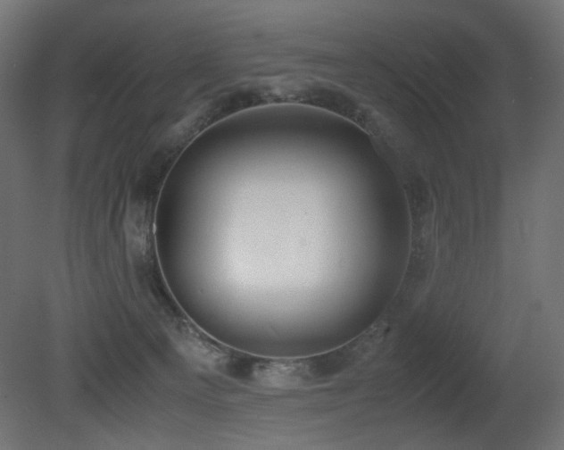 X0000081290129200701111408