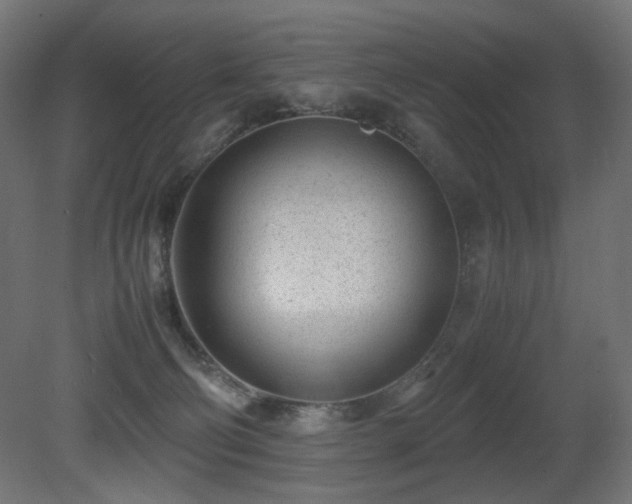 X0000081290130200701111408