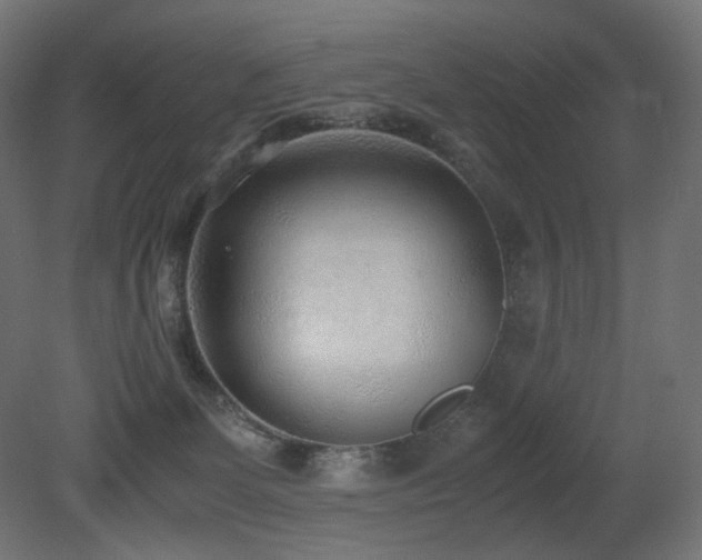 X0000081290131200701111408