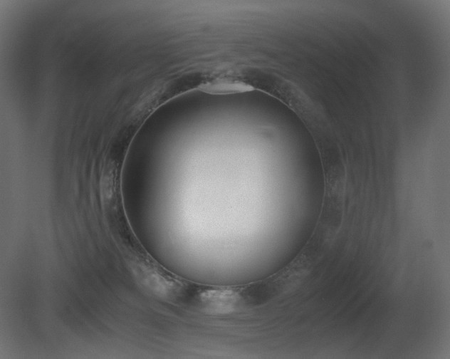 X0000081290133200701111408