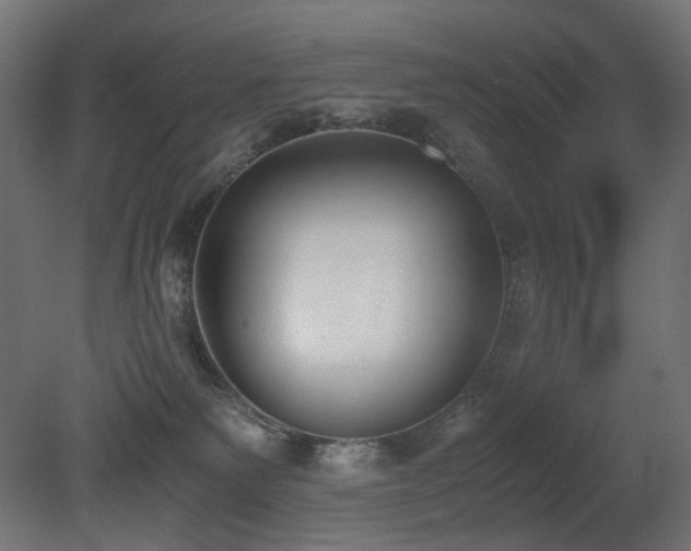 X0000081290135200701111408