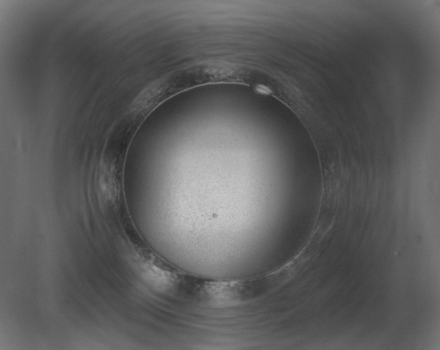 X0000081290136200701111408