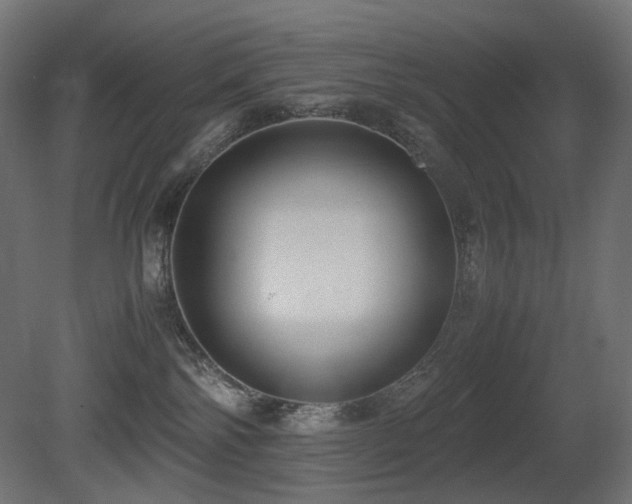 X0000081290138200701111408