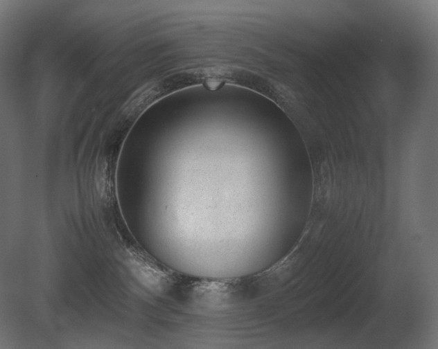 X0000081290140200701111408