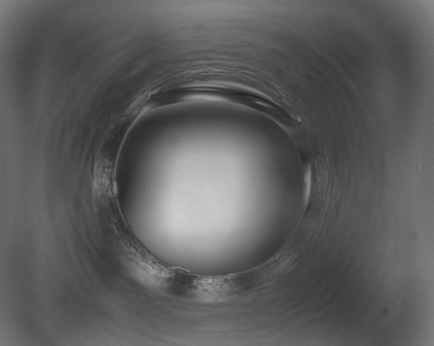 X0000081290141200701111408