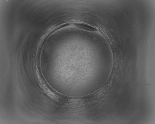 X0000081290145200701111407